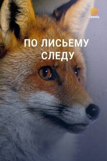 Poster of По лисьему следу
