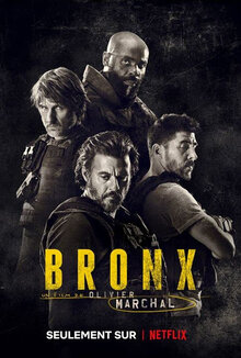 Poster of Rogue City