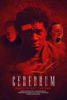 Cerebrum