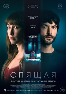 Poster of La mujer dormida