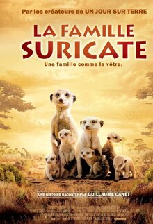 Poster of The Meerkats