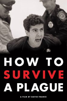 Poster of How to Survive a Plague