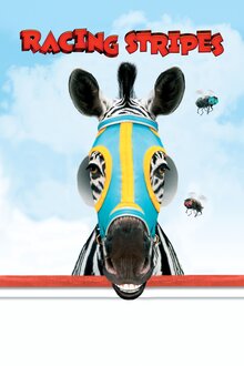 Racing Stripes