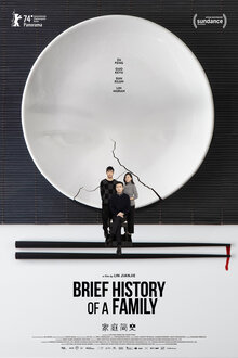 Poster of Brief History of a Family