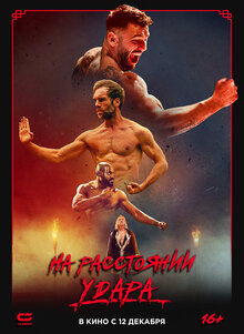 Poster of The Last Kumite