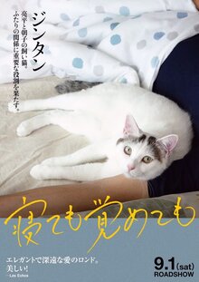 Poster of Asako I & II