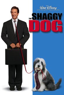 The Shaggy Dog