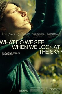 What Do We See When We Look at the Sky ?