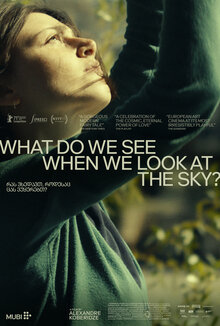 Poster of What Do We See When We Look at the Sky ?