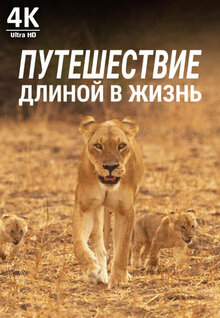 Poster of Life's Journey