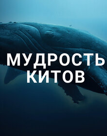 Poster of Мудрость китов