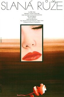 Poster of Salty Rose