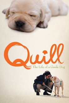 Poster of Quill