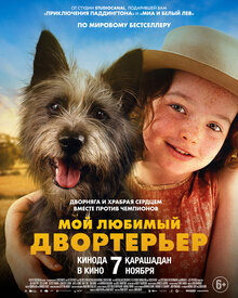 Мой любимый двортерьер