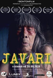 Poster of Javari