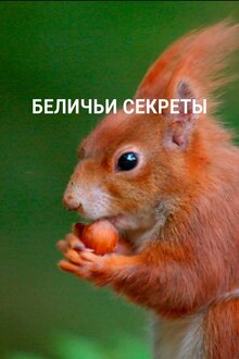 Постер фильма Беличьи секреты