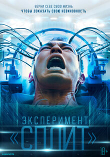 Poster of Plurality