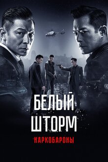 Poster of The White Storm 2: Drug Lords