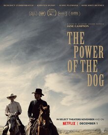 Poster of The Power of the Dog