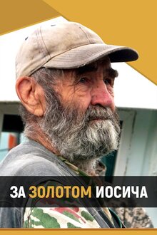 Poster of За золотом Иосича