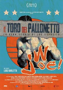 Poster of Il Toro del Pallonetto