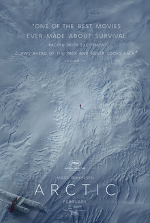 Poster of Arctic