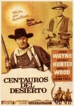Poster of The Searchers
