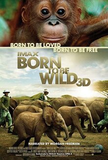 Poster of Born to Be Wild