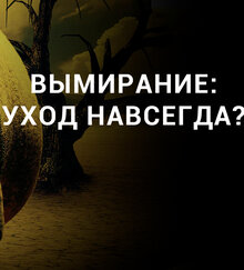 Poster of Вымирание: Уход навсегда?