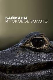 Poster of The caiman and the doomed swamp