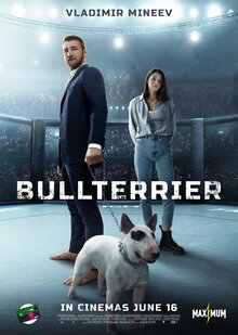 Bulterer