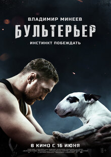 Poster of Bulterer