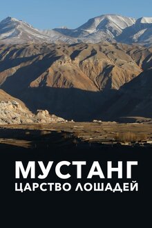 Poster of Mustang, the horses kingdom