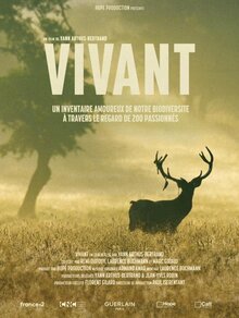 Poster of Vibrant