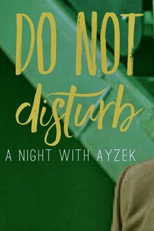 Poster of Do Not Disturb