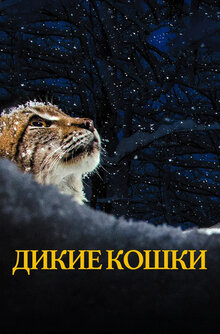 Постер фильма Дикие кошки