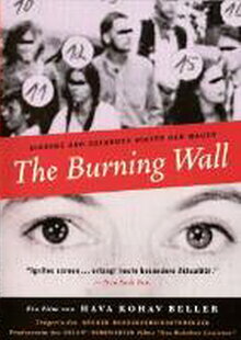Poster of The Burning Wall