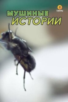 Poster of Мушиные истории