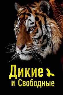 Poster of Дикие и свободные