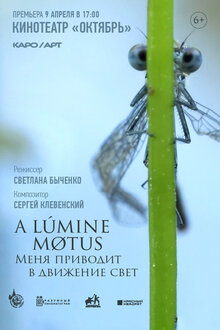 Poster of A lumine motus