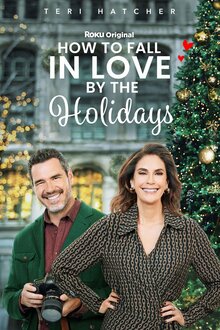 Poster of How to Fall in Love by the Holidays
