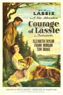 Poster of Courage of Lassie