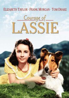 Poster of Courage of Lassie