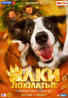 Paws, Bones & Rock'n'roll