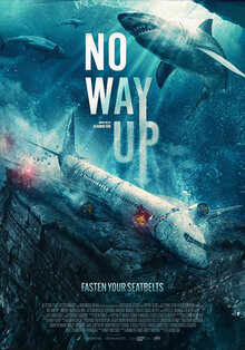 Poster of No Way Up