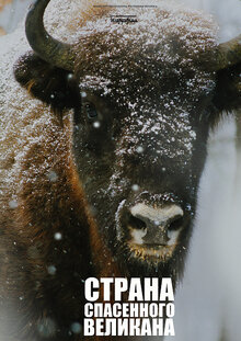Poster of Strana spasennogo velikana
