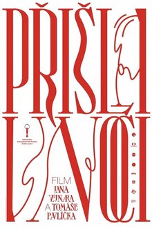 Poster of She Came at Night