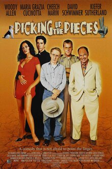 Poster of Picking Up the Pieces