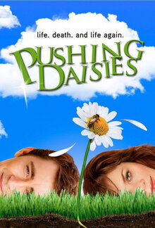 Pushing Daisies