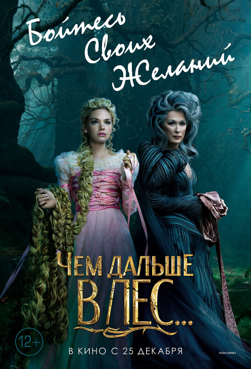 Чем дальше в лес... (2014) - постер 28
